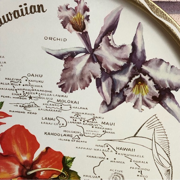 70's Hawaiian Islands Tin Drinks Tray - Hawaii Souvenir - BBQ - Outdoor Tray - Picture 5 of 10